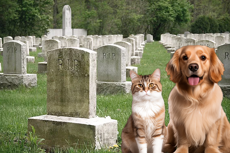 cemetery for pets