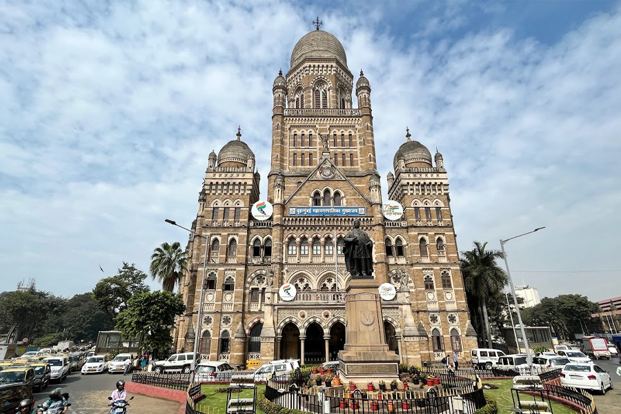 Local Body election in four steps