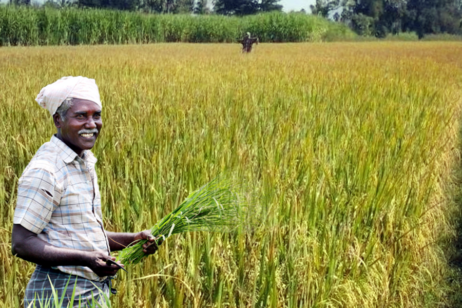 Compensation for crops