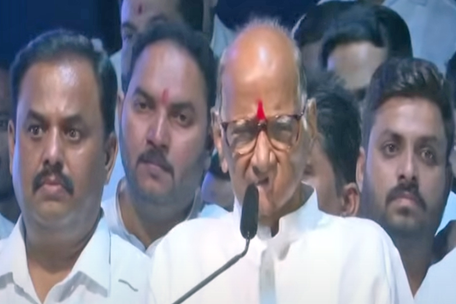 pawar assures activists