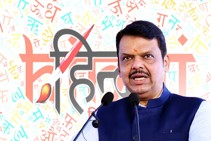 Fadnavis' determination