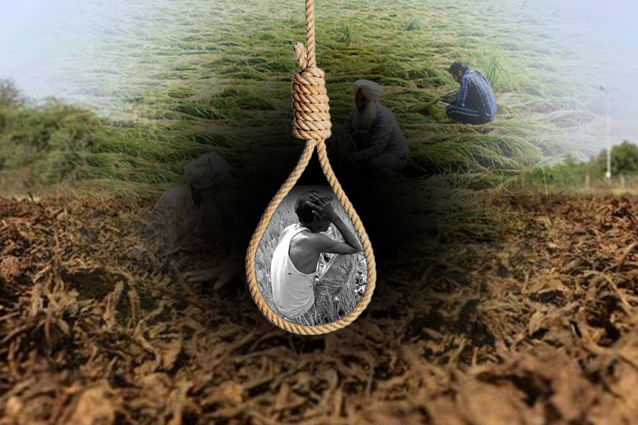 Maha farmer suicides