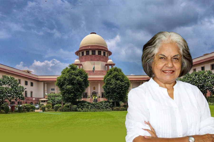 Amicus curiae to SC