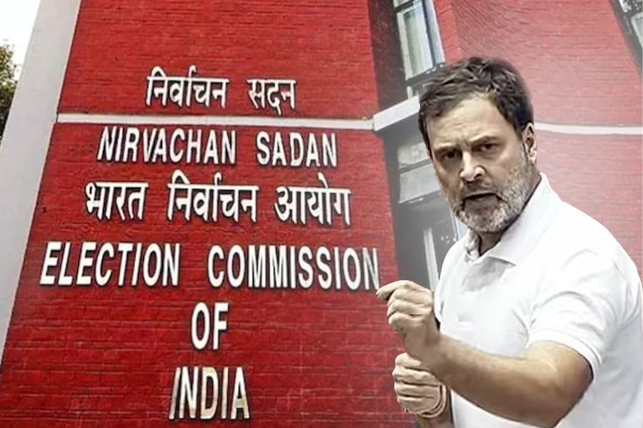 Rahul Criticizes EC