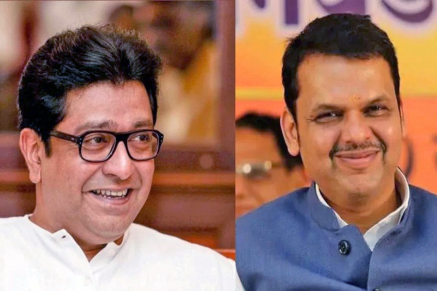 Raj Thackeray met CM