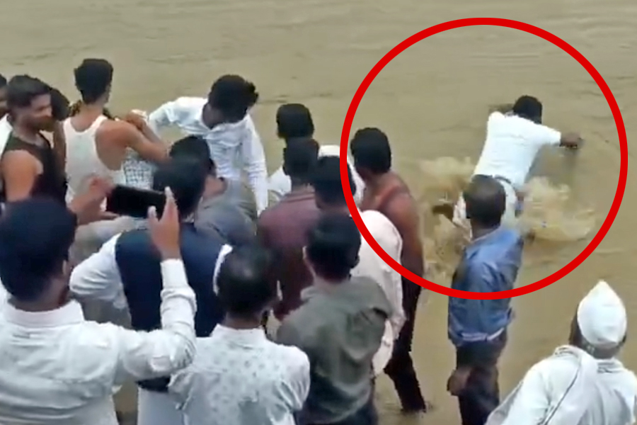 Farmer jumps into river