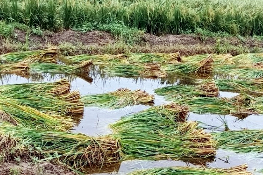 Compensation for farmers