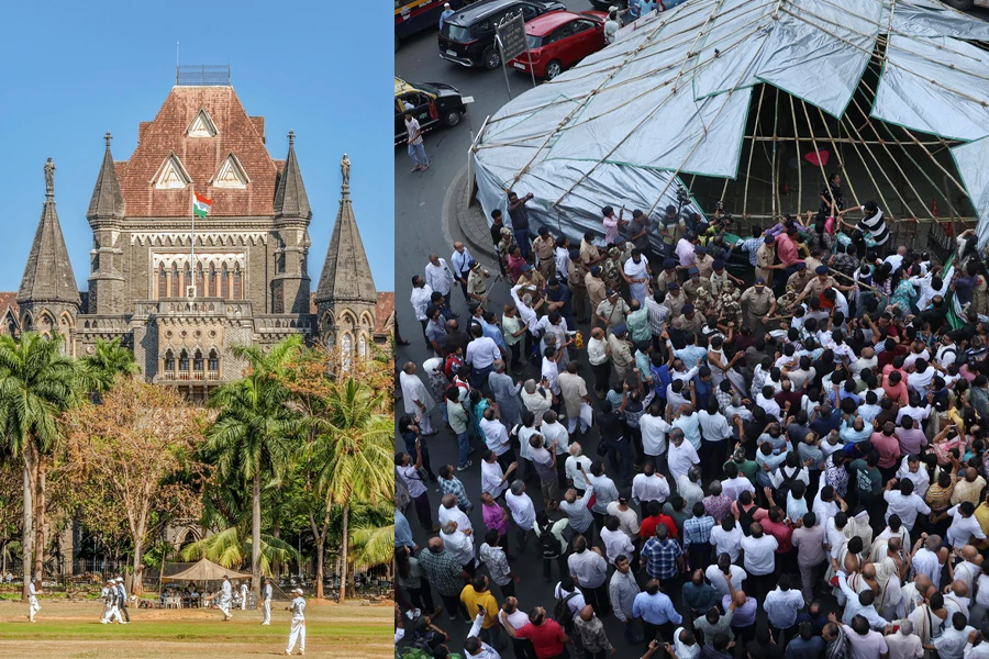 HC reprimands on pigeon issue