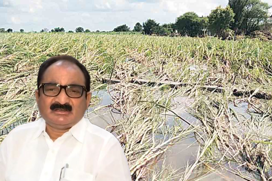 Makarand Patil
