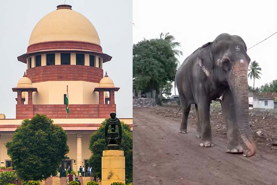 Mahadevi Hattini case