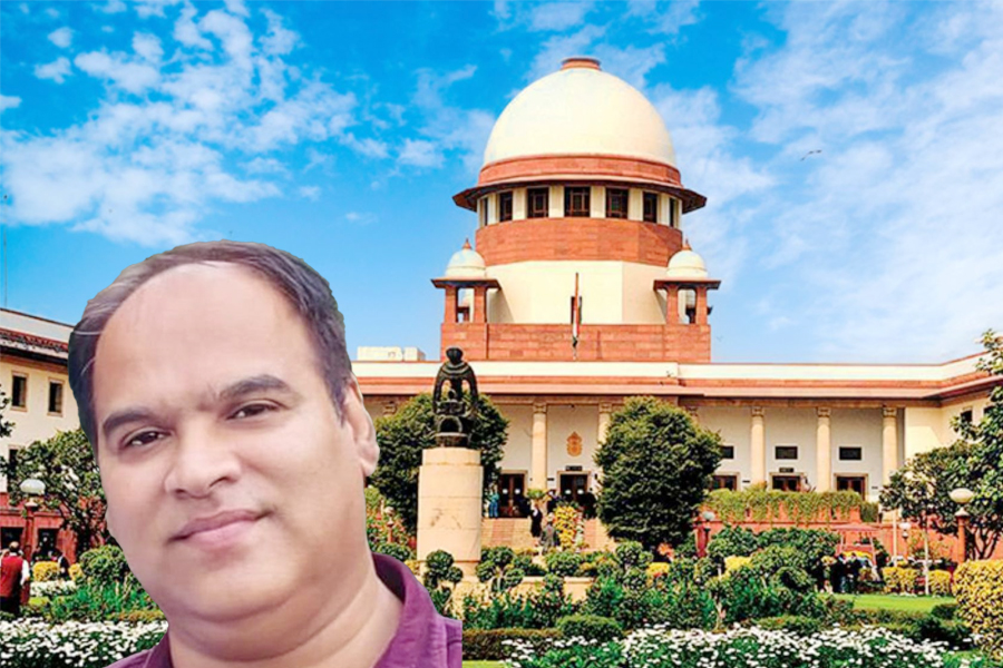 Interim protection to cartoonist