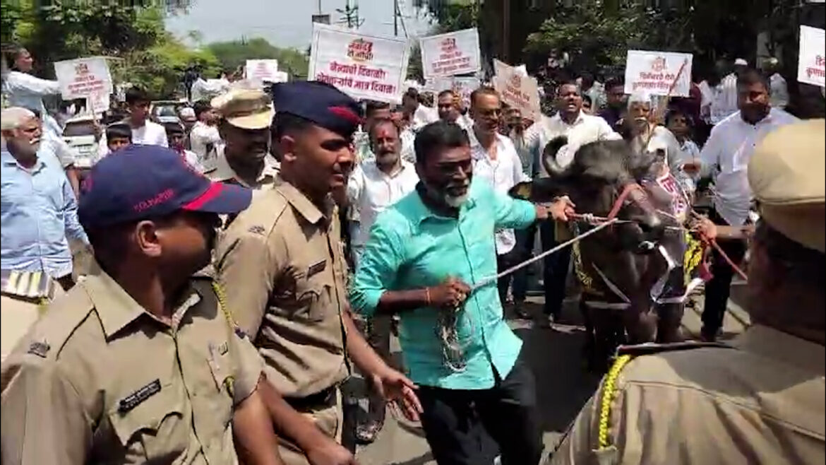 Milk Producers and Police clash