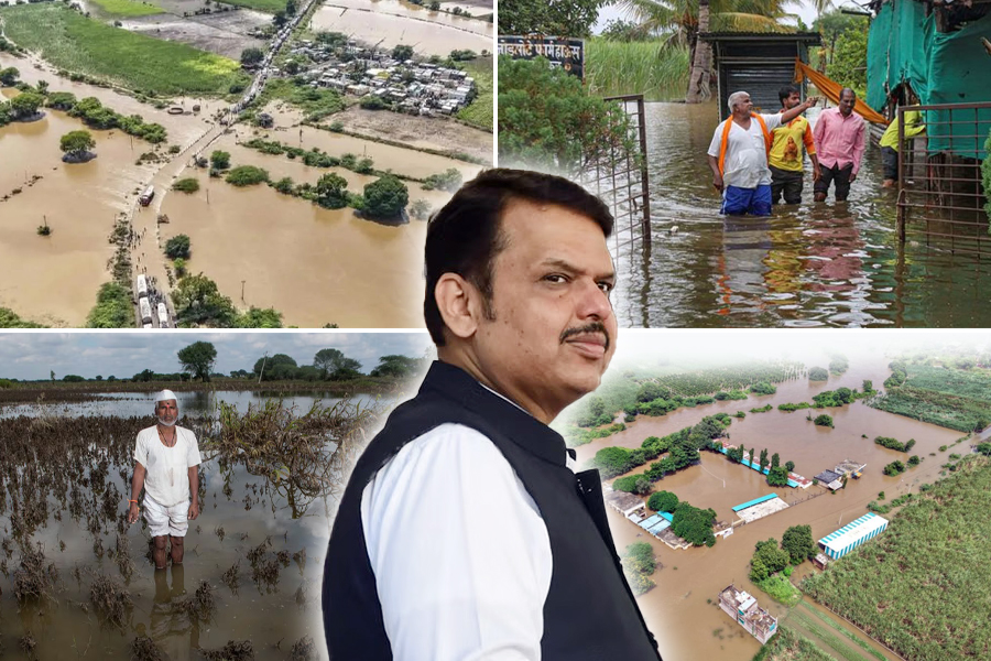 Fraudulent package for Marathwada