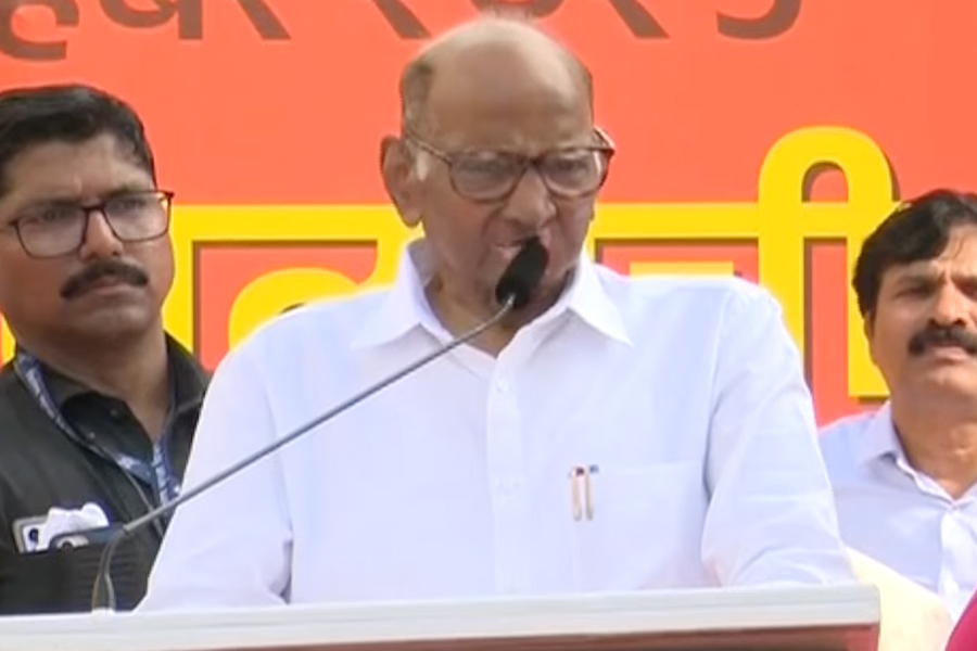 Pawar's appeal to unite