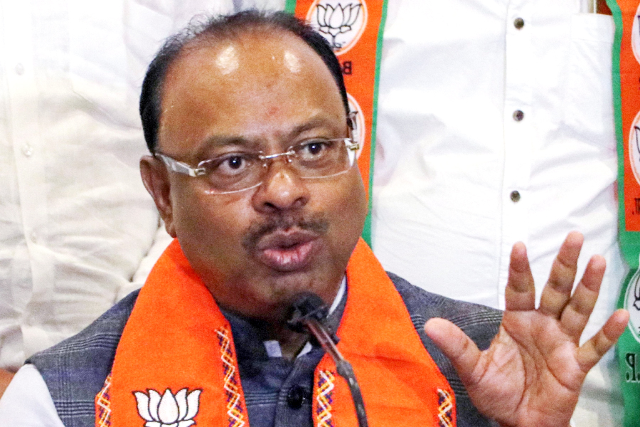 ZP Municipal elections will be contested by the Mahayuti together