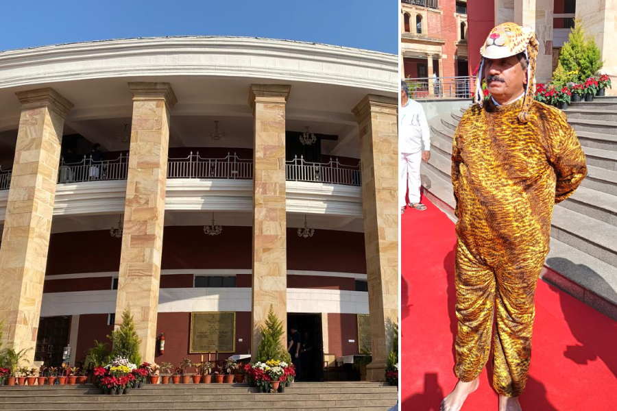 MLA dressed as a leopard in Vidhan Bhavan
