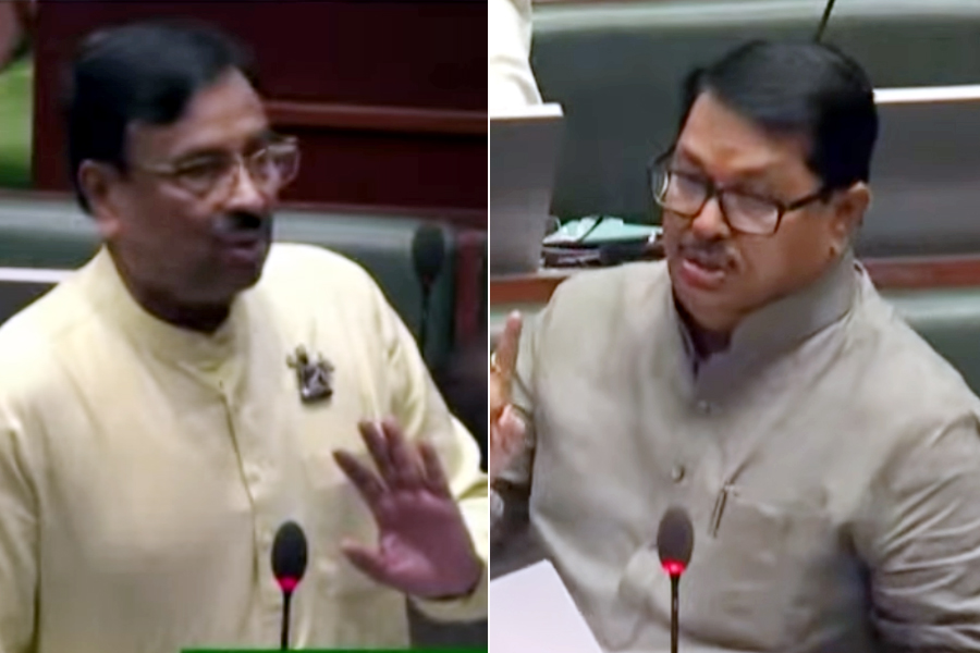 मुनगंटीवाराकडून सरकारला घरचा आहेर ….