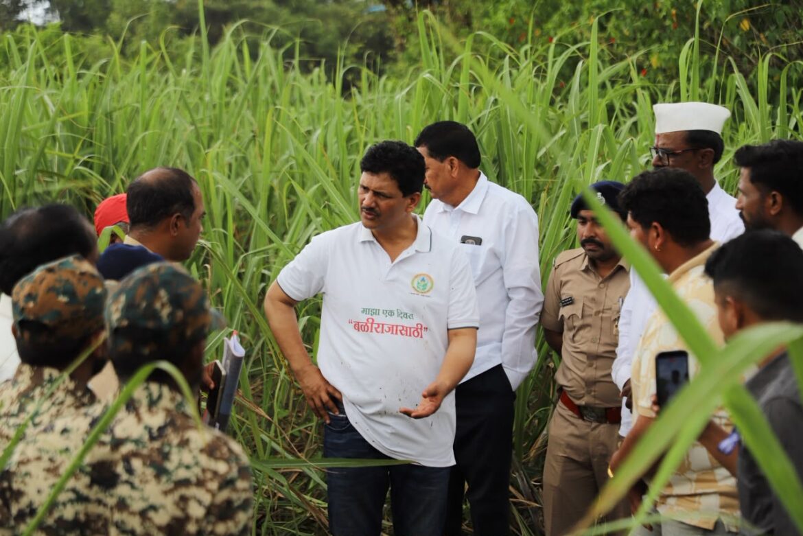 Elephant care center to be set up in Ajara