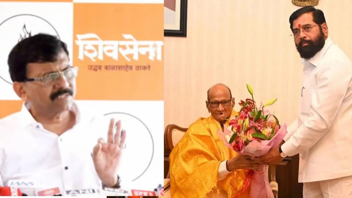 Sanjay Raut questions Pawar